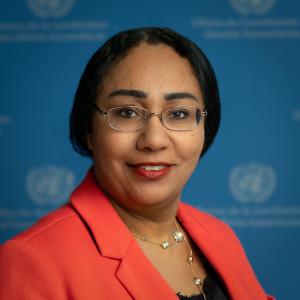 United Nations Resident Coordinator to the State of Kuwait